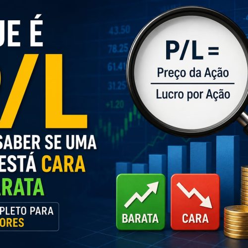 O Que é P/L